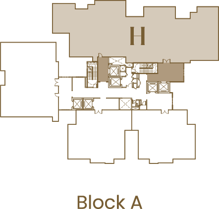Type H/H1 related block view 2